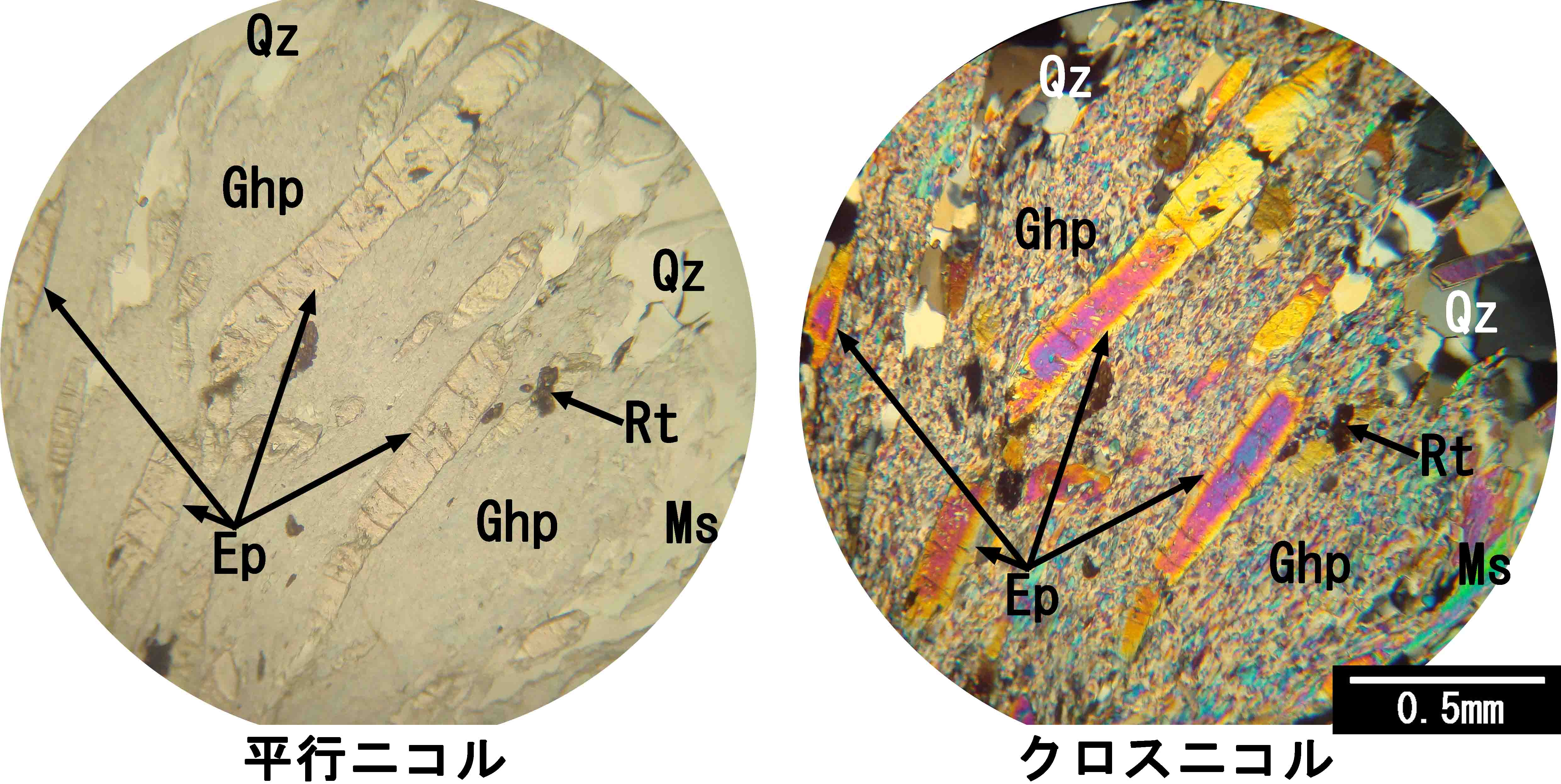 緑積層石 緑積層岩 Amazon | 形状お任せ 積層石 サイズミックス 10kg 60cm水槽